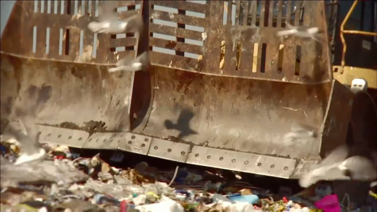 Plastic Bag on Vimeo