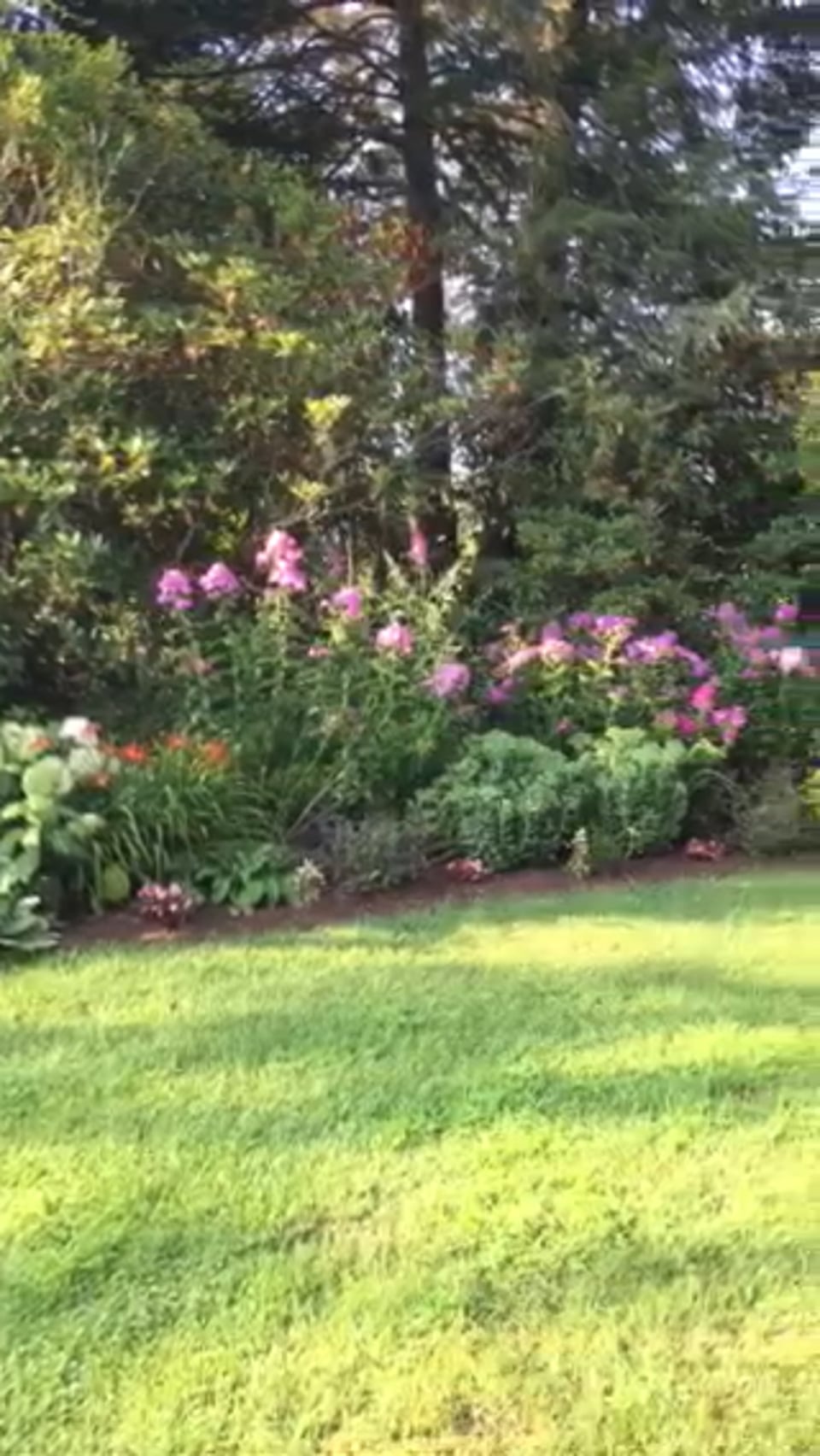New Pond Farm Gardens
