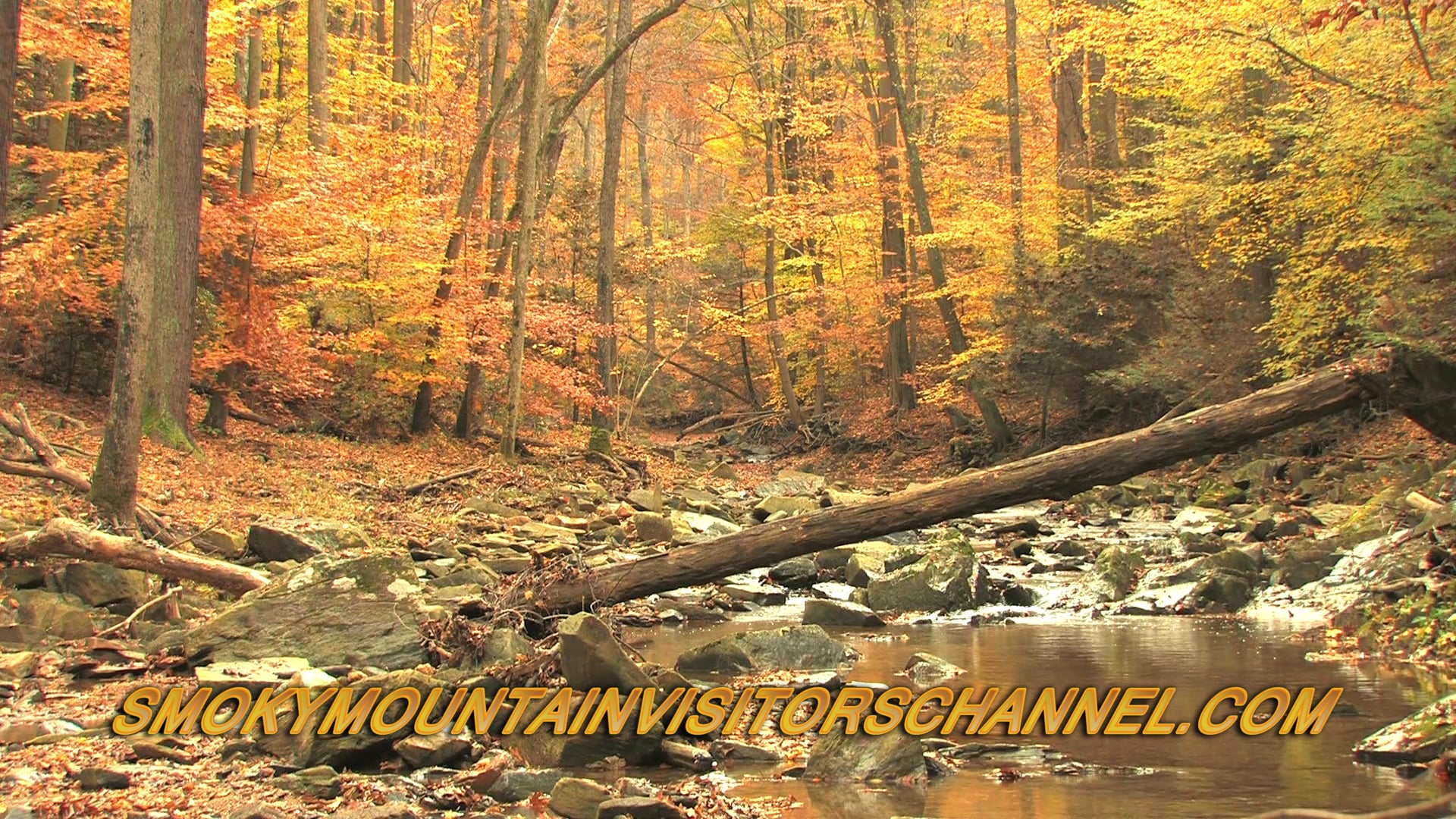 Fall in the Mountains on Vimeo