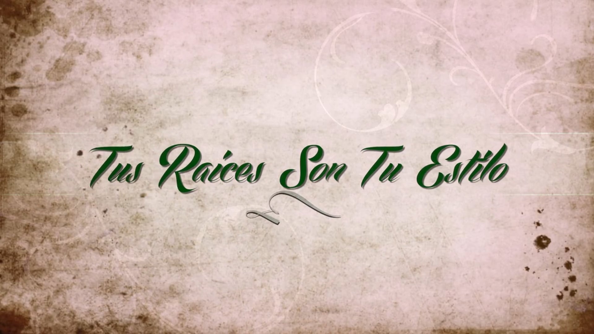 PURO ARTE Sizzle Reel