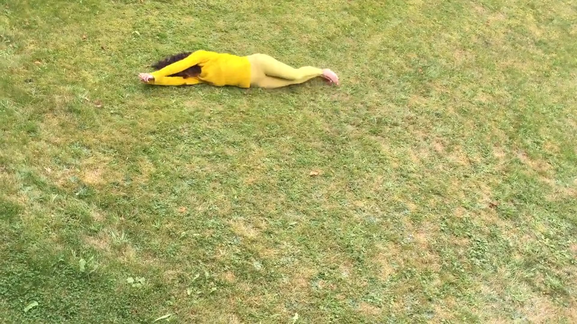 Perceptual Landscape 2015