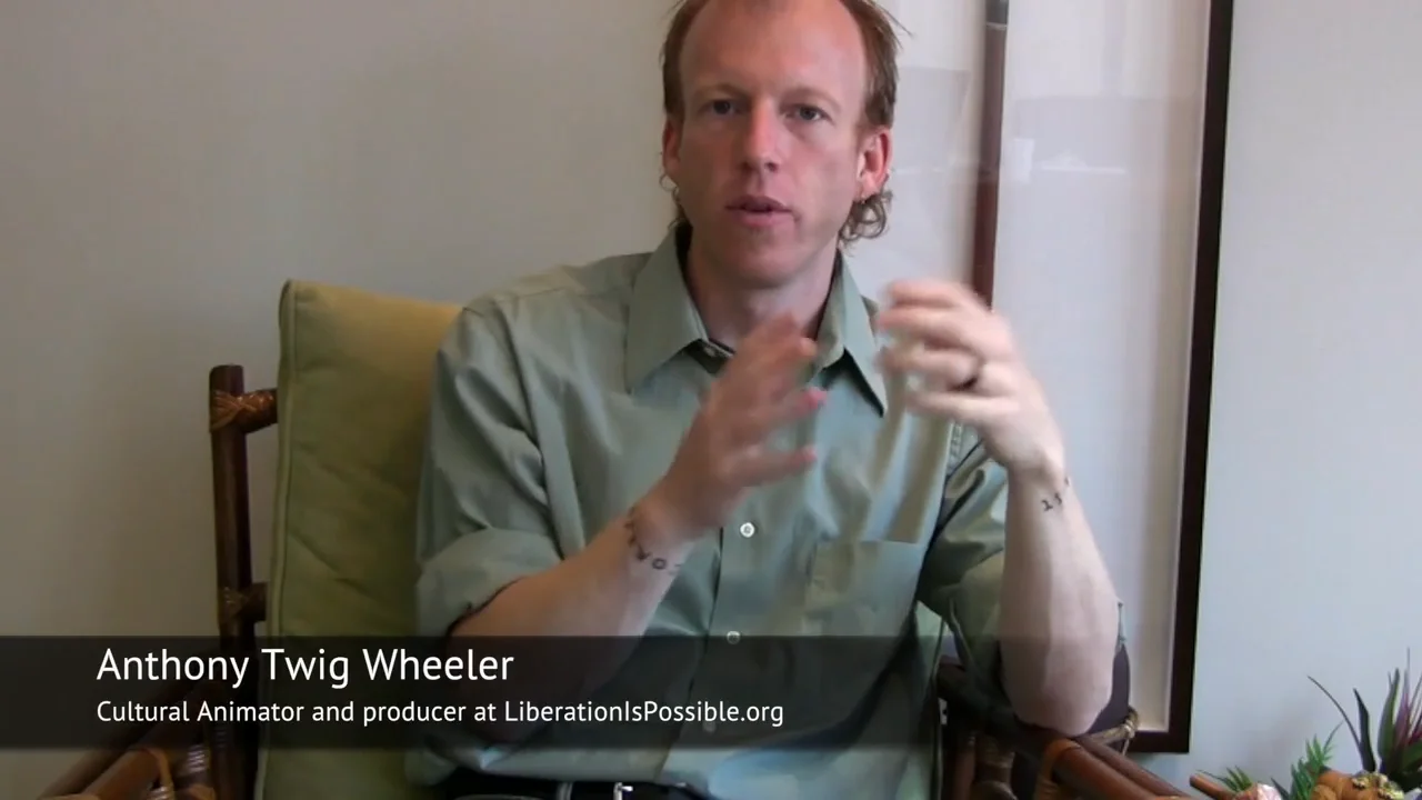 Polyvagal Theory in 11 Minutes by Twig - Liberation is Possible