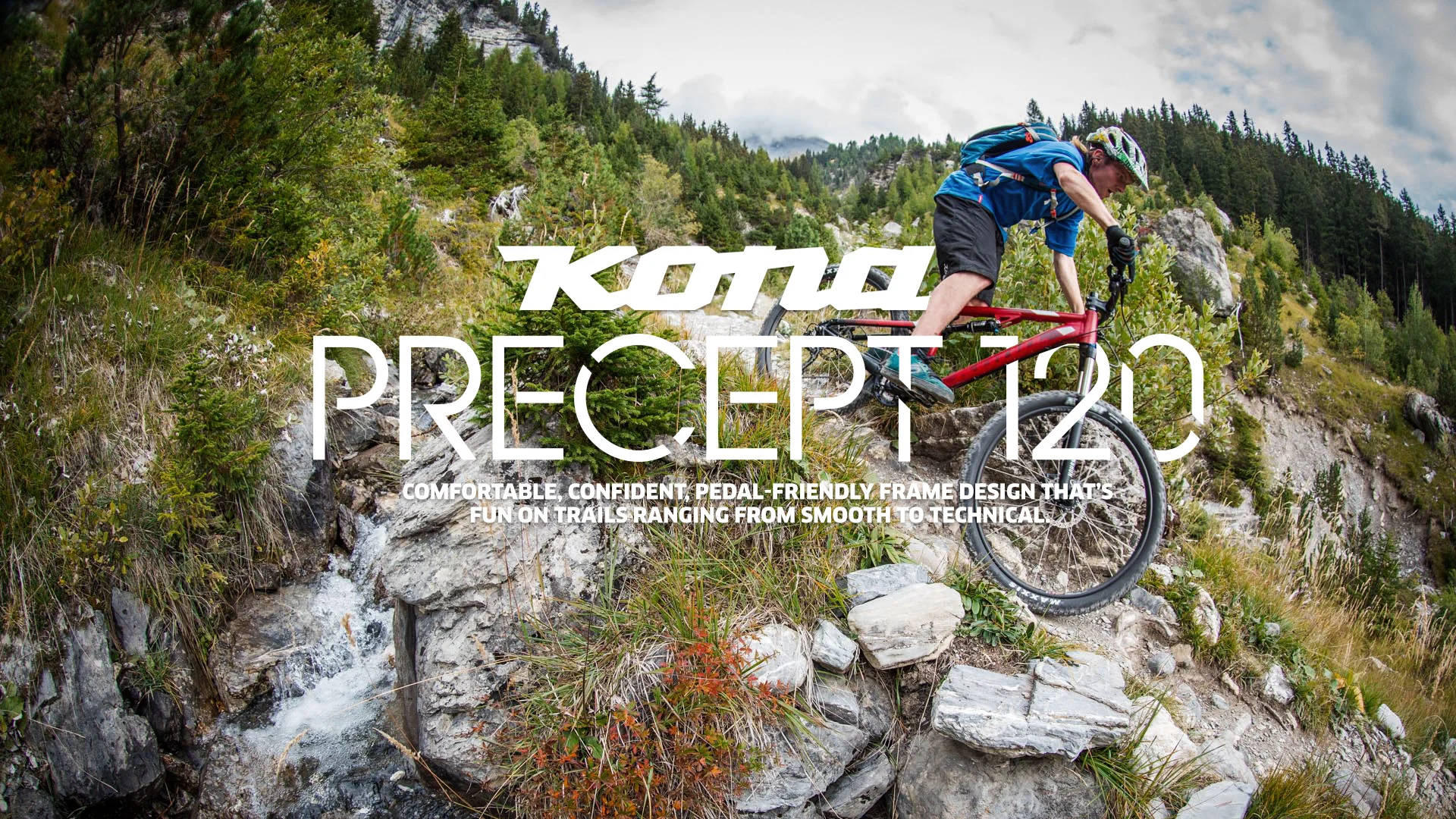 Kona precept 120 store 2016