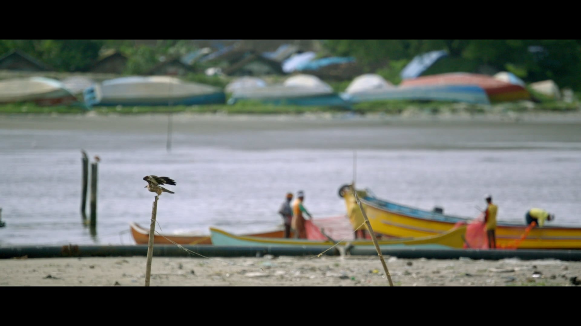 Kohinoor Theatrical Trailer (2015)