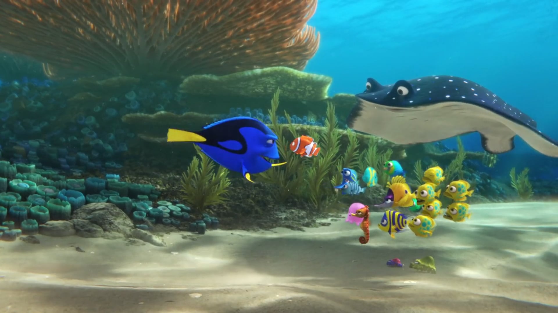 Finding Dory - Trailer "Sleep"