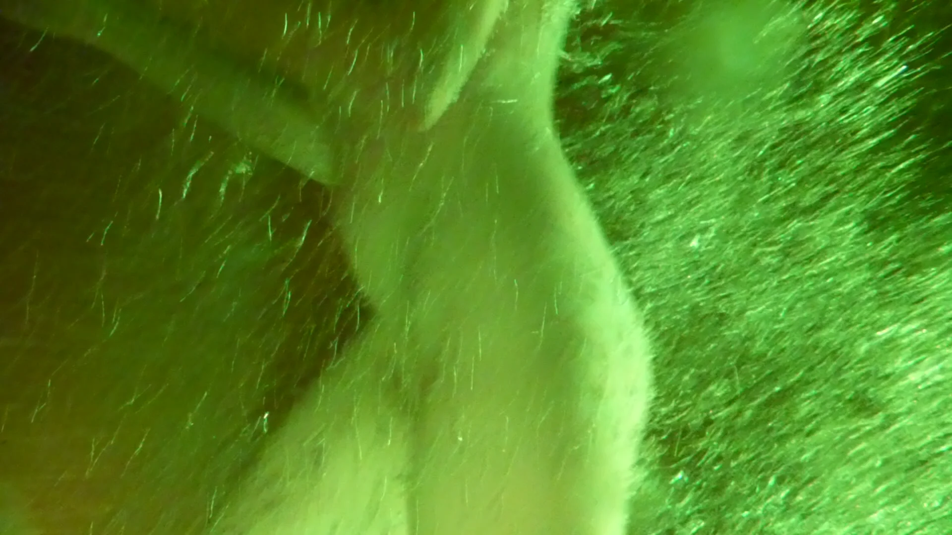 underwater clean and clear :-)