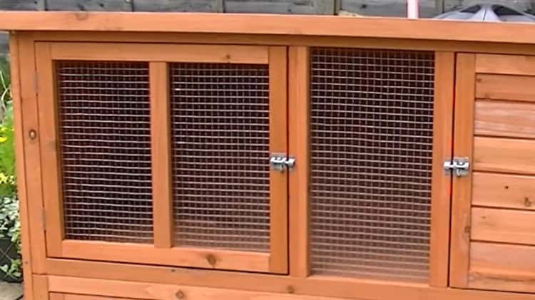 Bluebell guinea outlet pig hutch