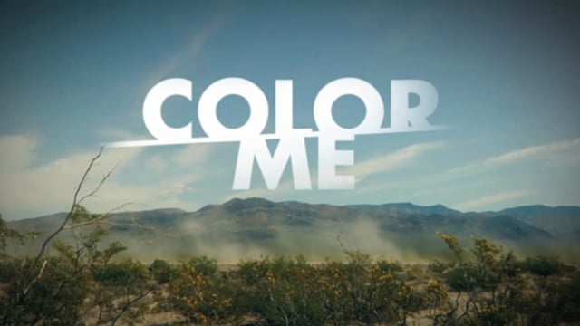 COLOR ME MOVIE 2009 Full Online Version from Shaba Pictures