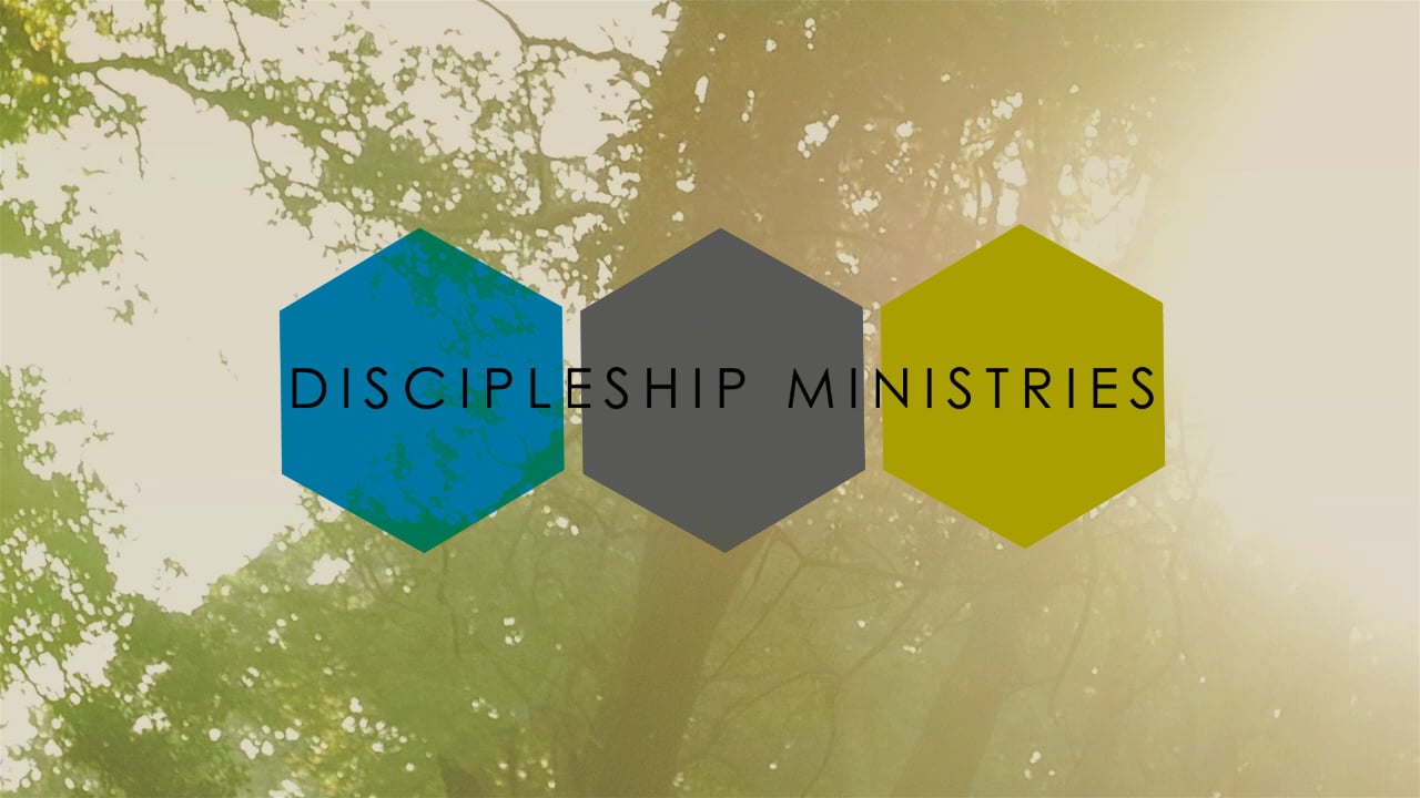 video image