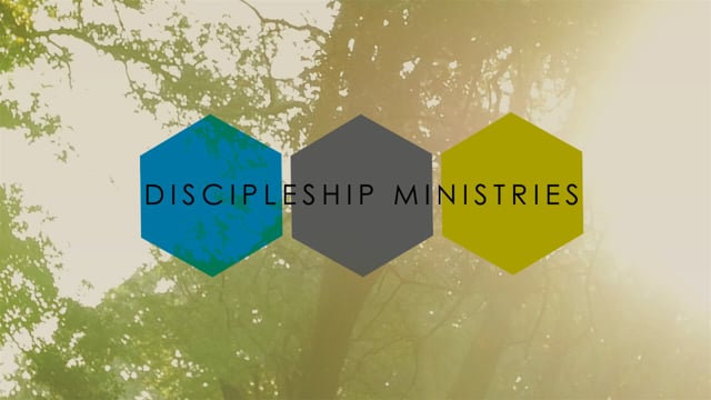 video image