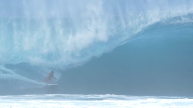 BLACK SHEEP from Salty Beards