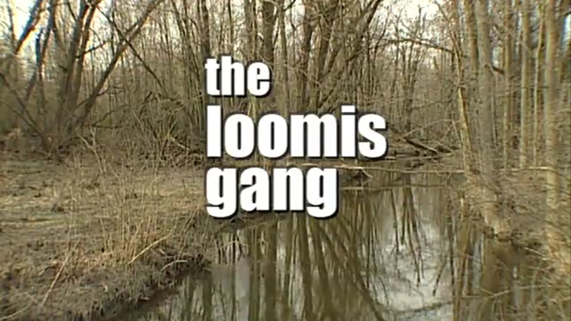 The Loomis Gang