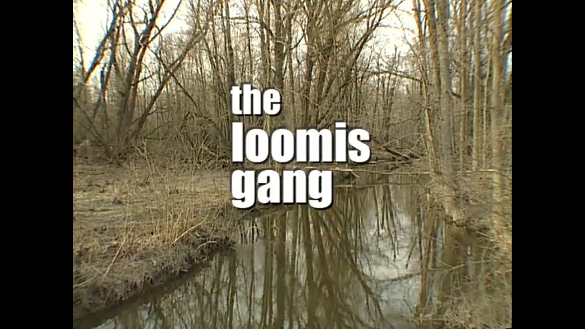 The Loomis Gang