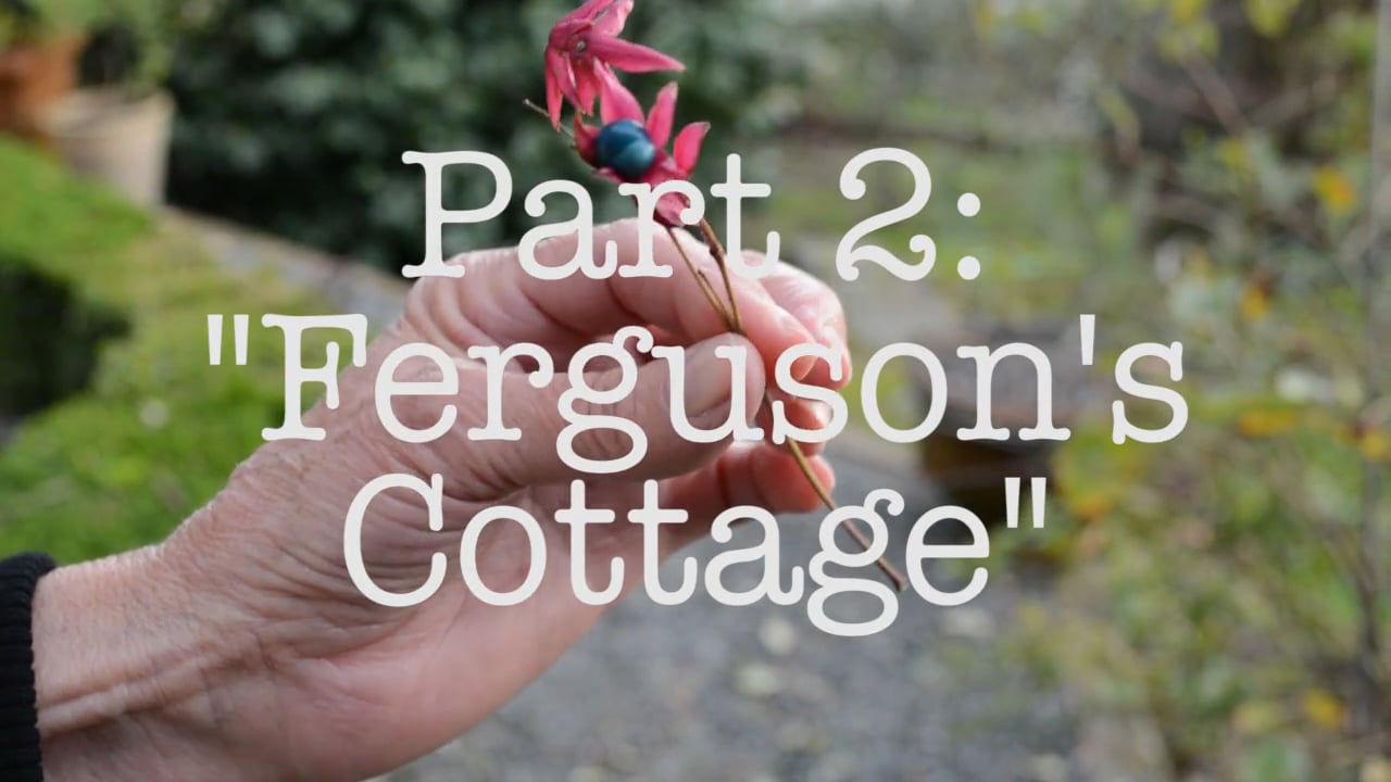 Ferguson's Cottage, 02 on Vimeo