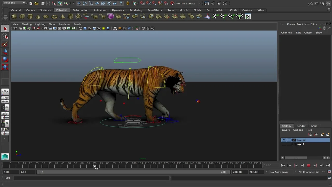 CG Bengal Tiger Animation 