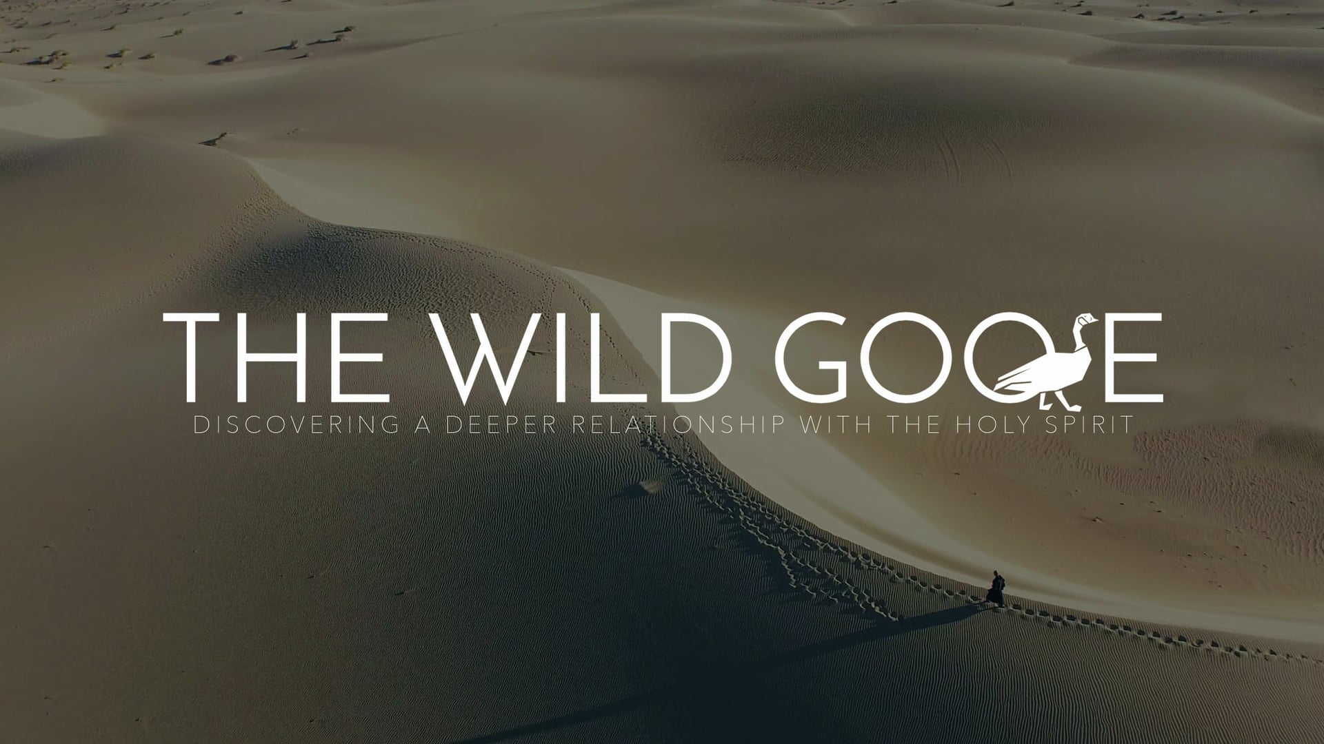 The Wild Goose // Teaser