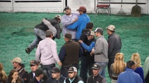 2015 Louisville Heifers