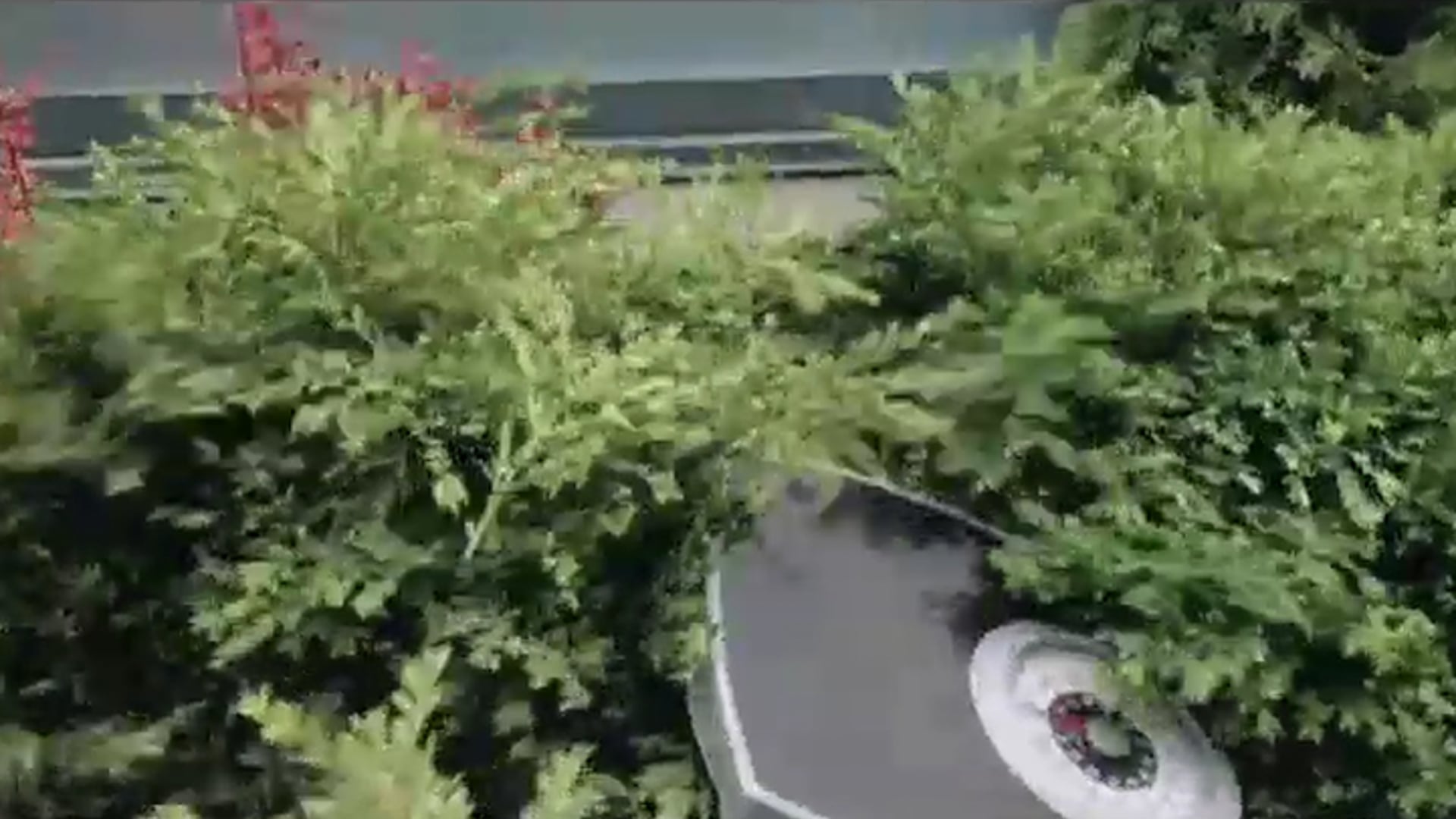 Special K - "Scales"