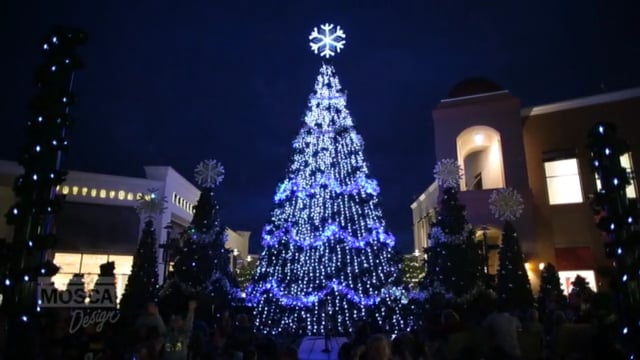 Mosca Design - Highlights of the Symphony in Lights at Wiregrass