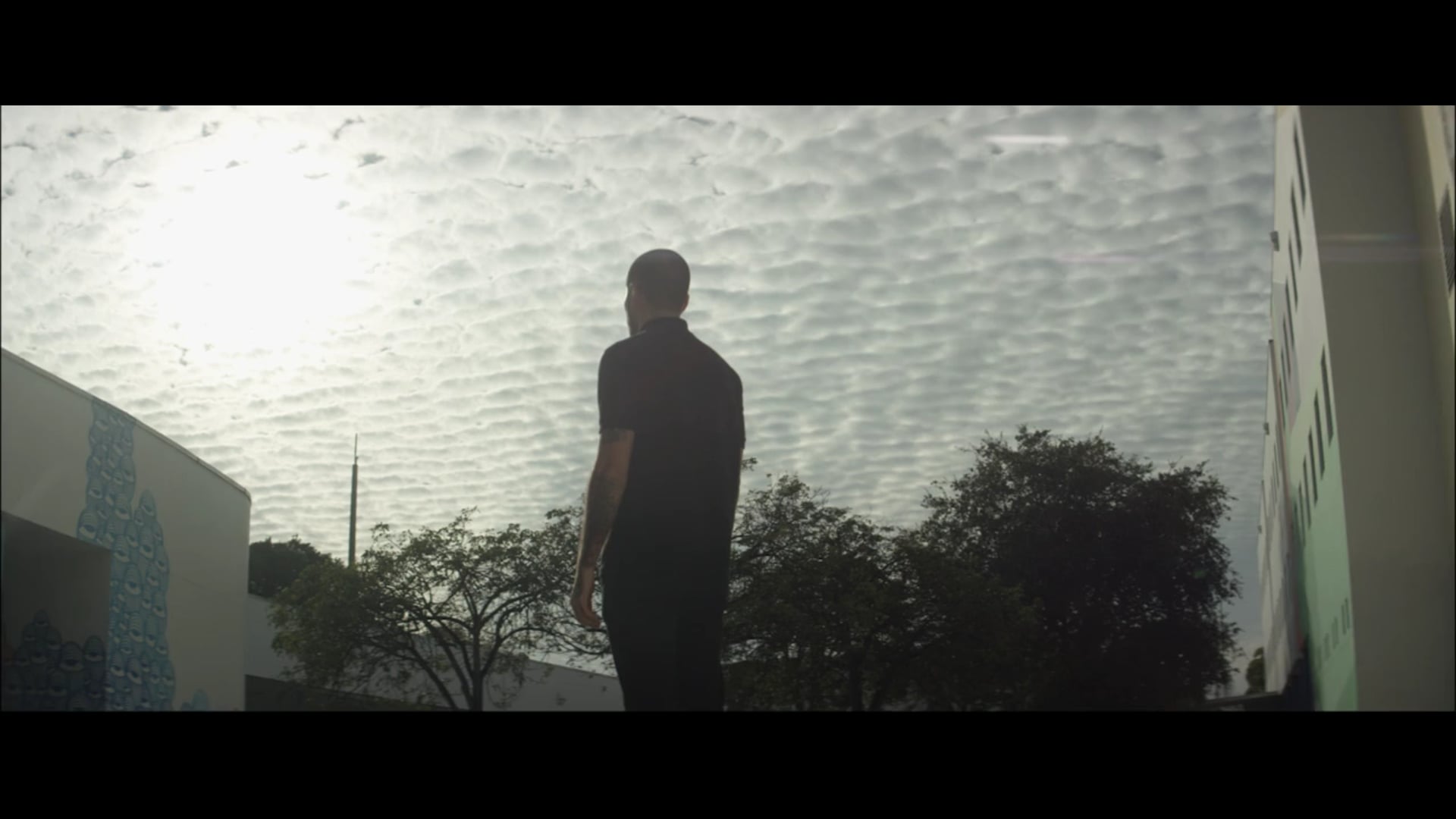 THE ARTIST | CITIZINE