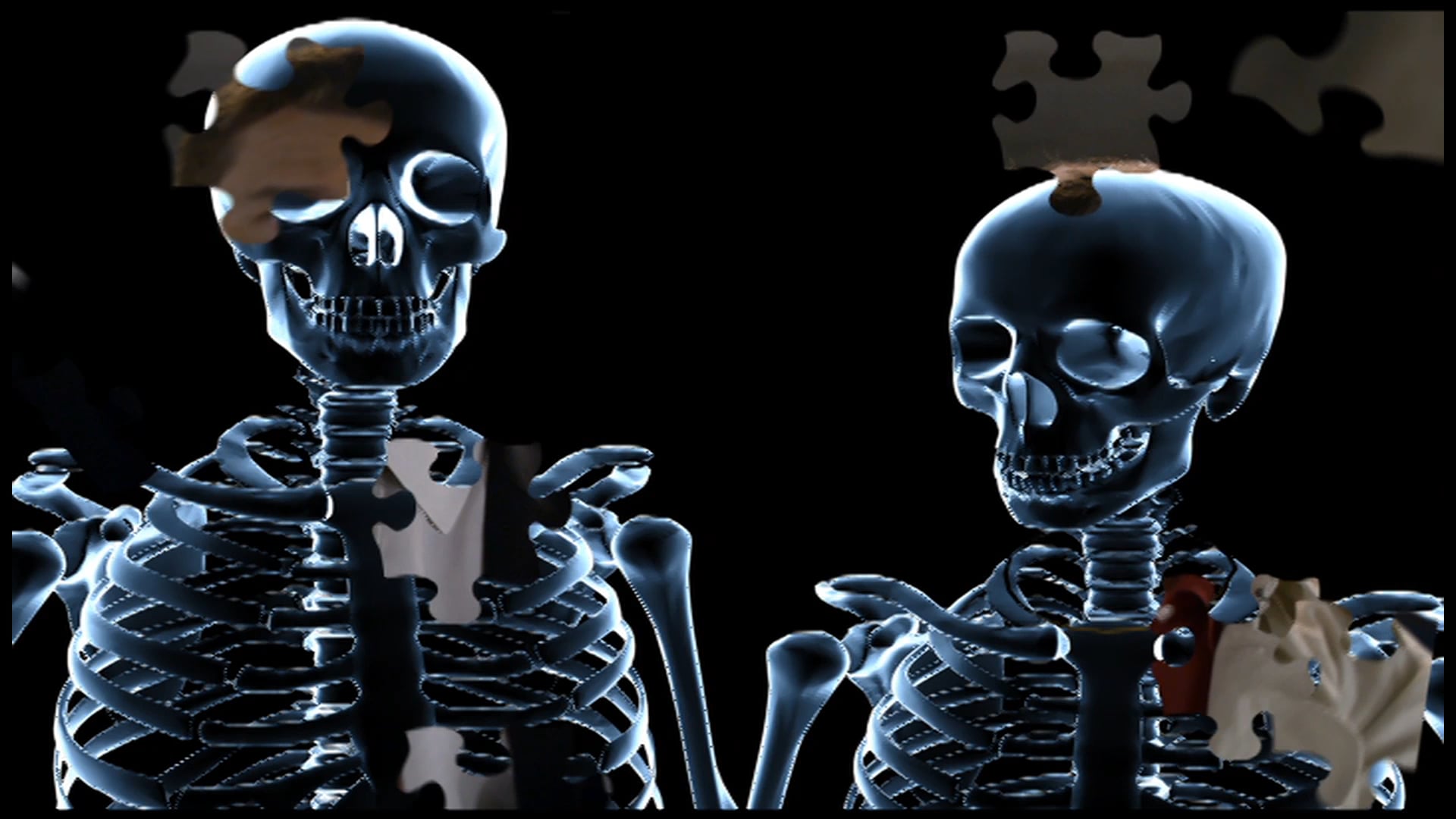 Bones S1-5 - TV30 "Skeleton Revised"
