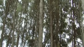 Nova Junta a l'Associació de Veïns del Camp dels Pilans Les Corts