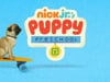 Puppy Preschool - Bubble Puppies