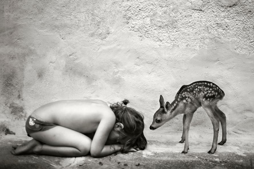 アート・デザイン・音楽 At the Edge of the World | Alain Laboile At the Edge of the World. Photographs by Alain Laboile. Text