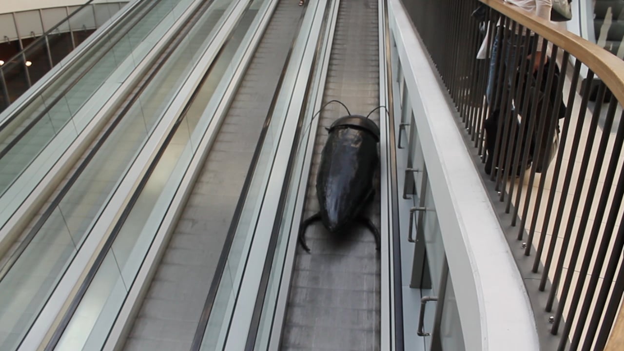 Giant cockroach on escalator