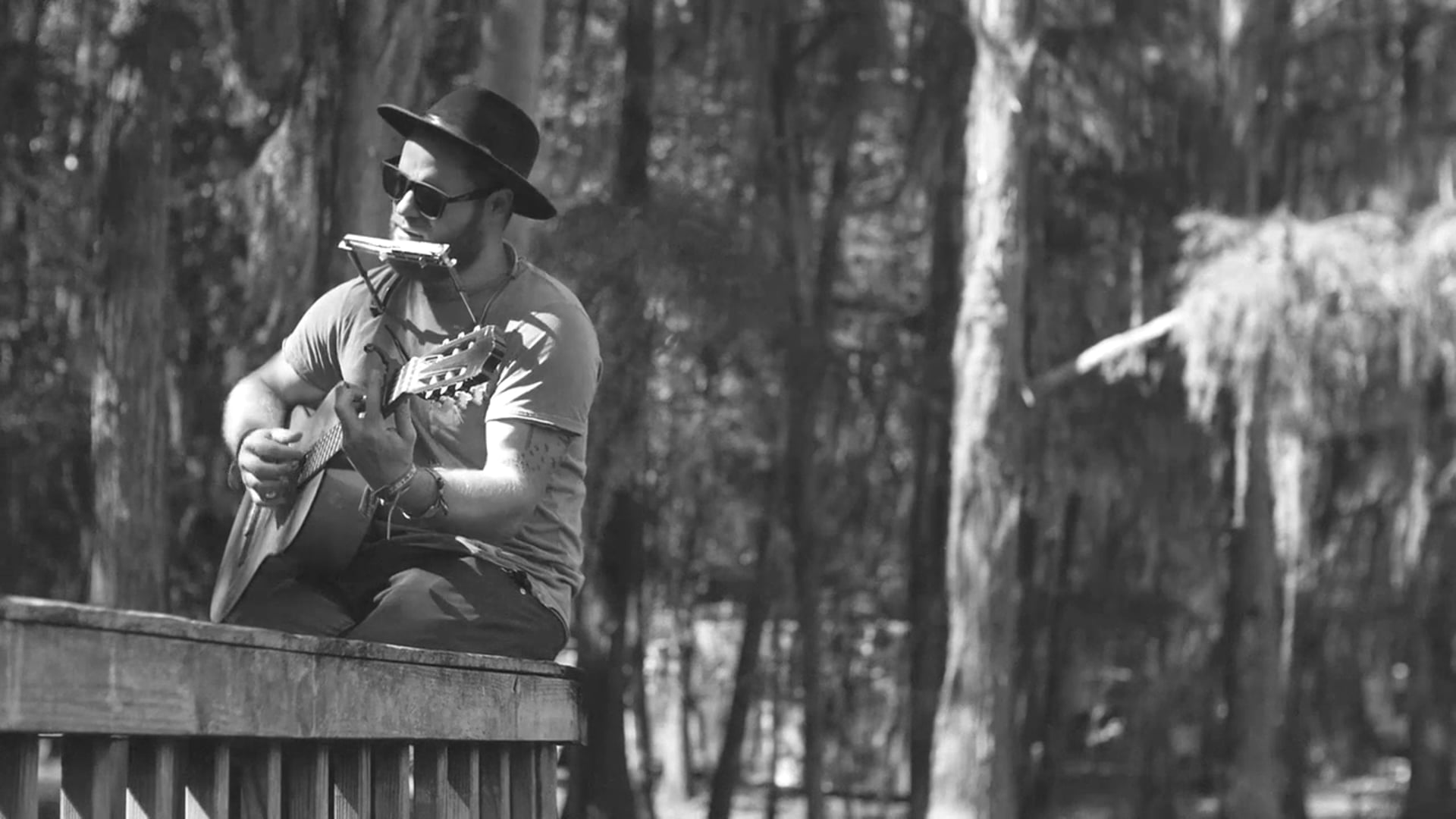 Promotional video thumbnail 3 for Nicholas Edward Williams