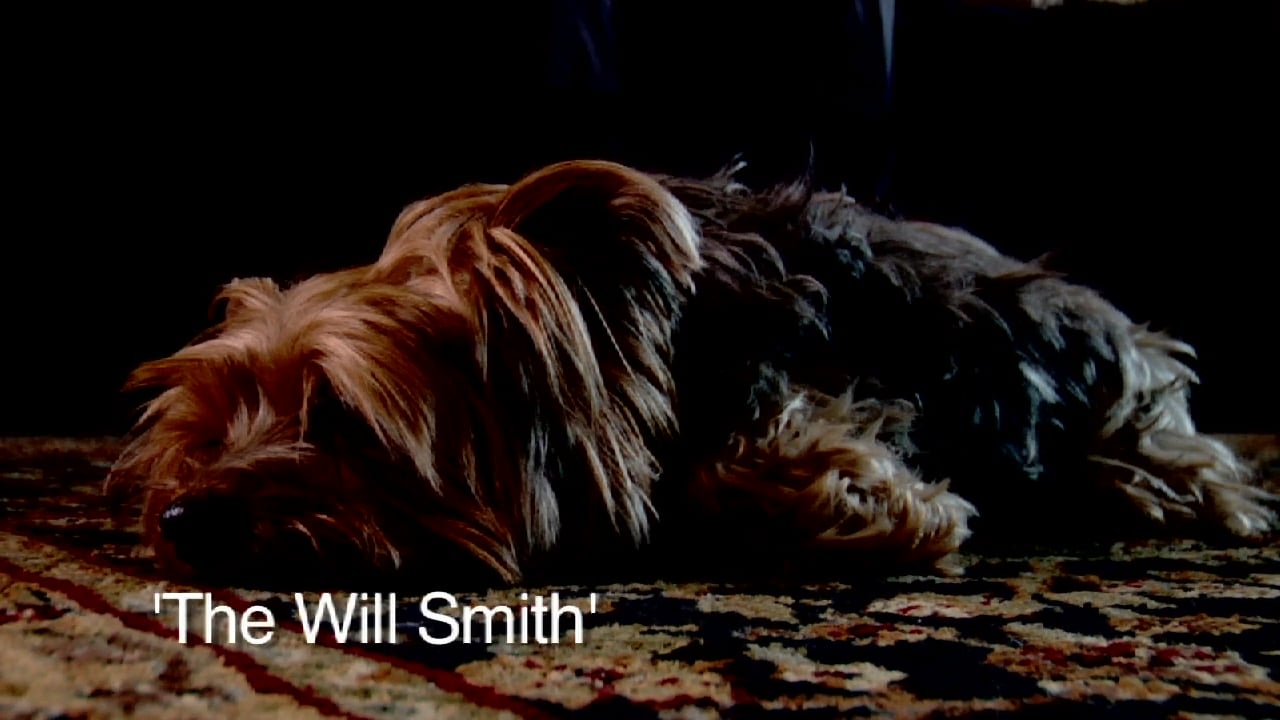 #3 THE WILL SMITH