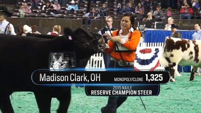 2015 Louisville Steers