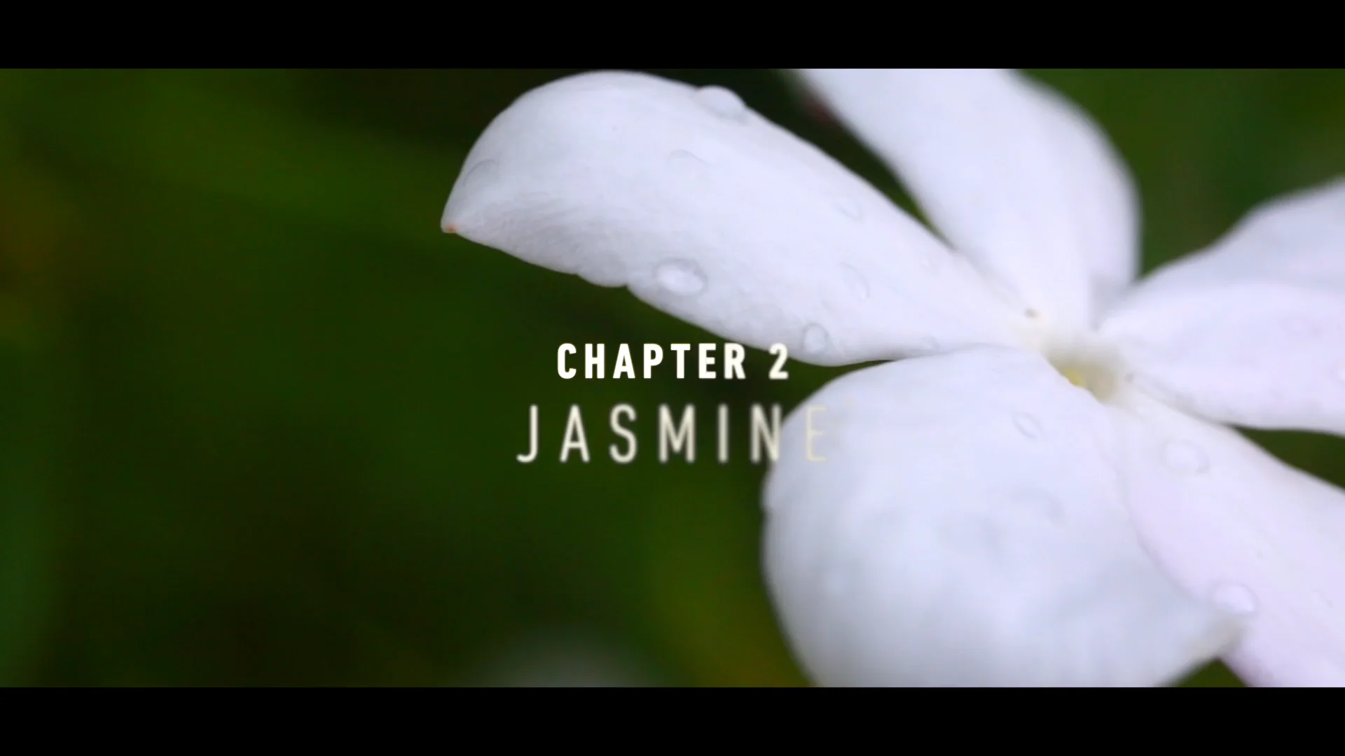 Chapter 2 - Jasmine - Firmenich Naturals Together on Vimeo