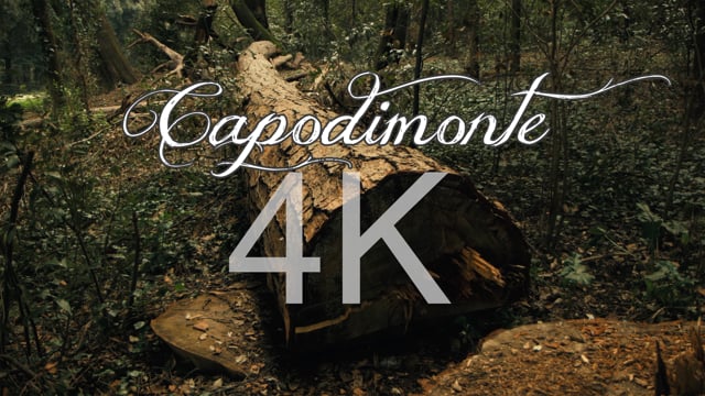 Capodimonte, Naples - the most beautiful park in Italy