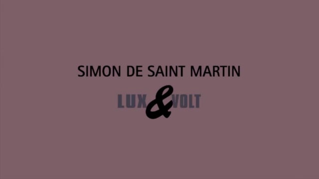SIMON DE SAINT MARTIN LUX&VOLT GALERIE DETTINGER-MAYER