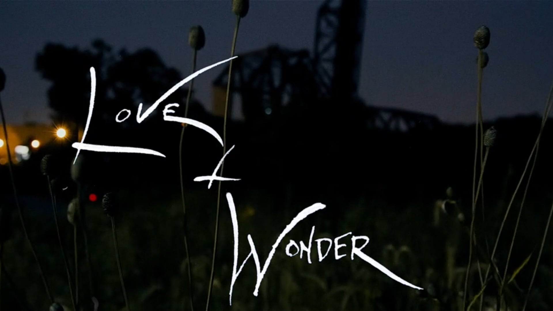 Love and Wonder