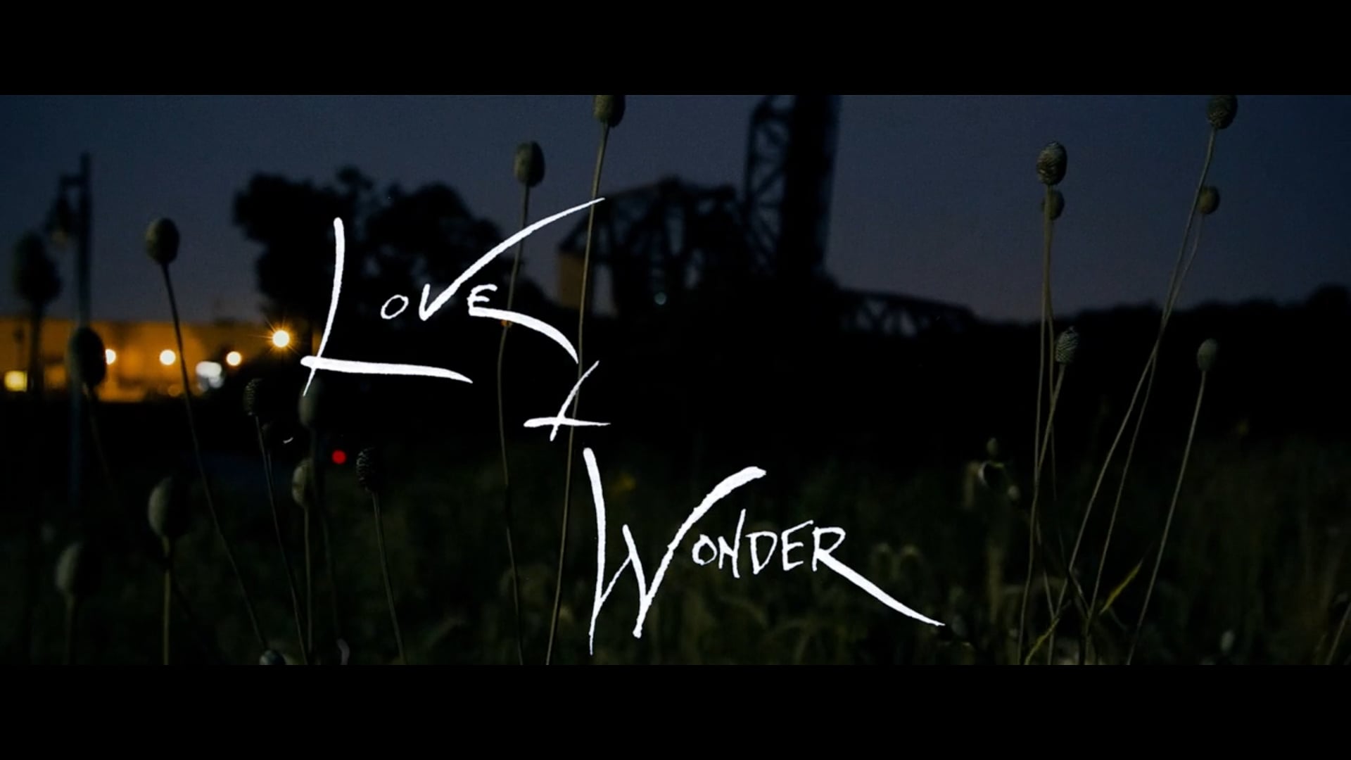 Love and Wonder