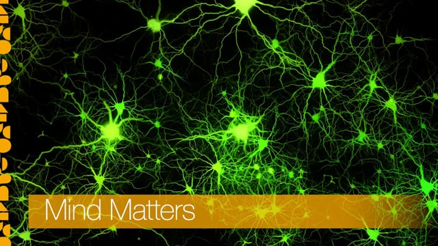 TedMed Theme Video - Mind Matters