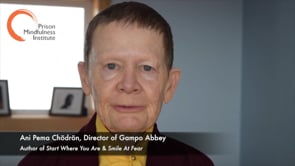 Pema Chodron talks about PMI