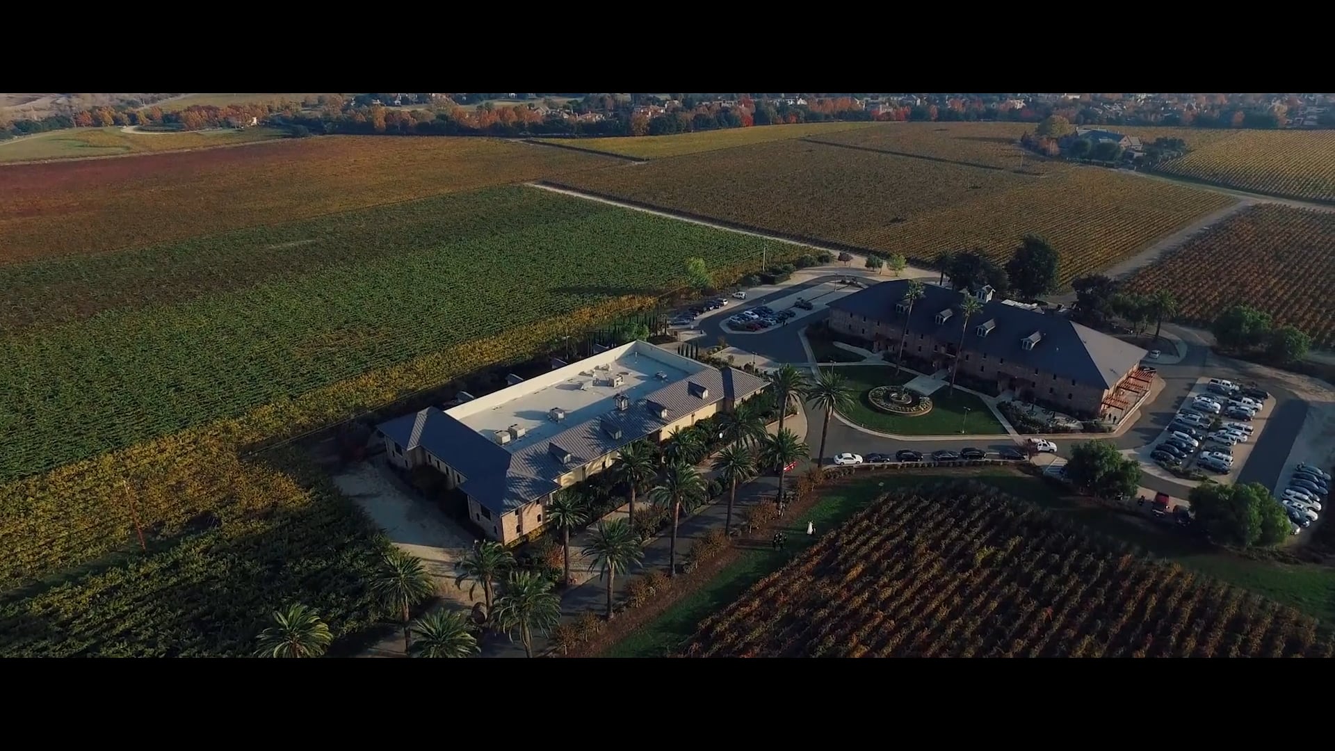 Thao & Kevin SDE Palm Event Center