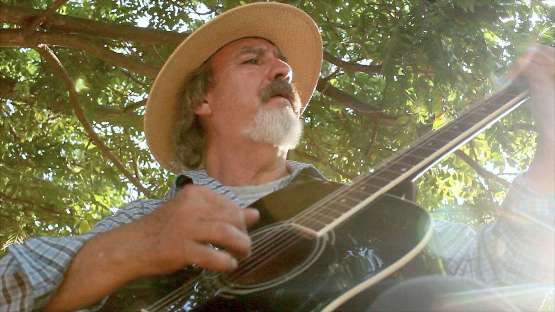 El Músico - documental participativo