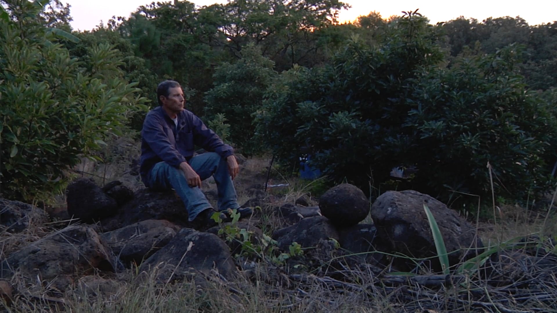 Guardianes del Bosque - documental participativo