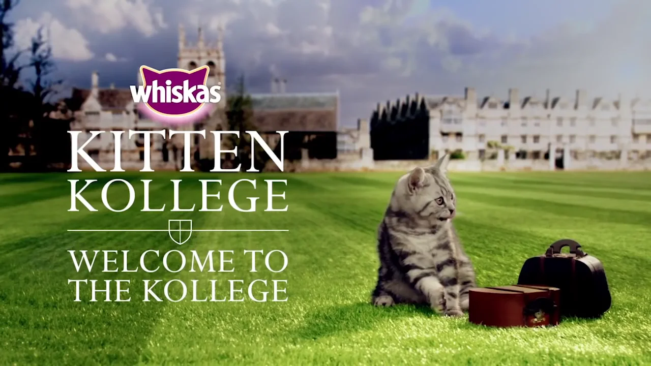 Whiskas Kitten Kollege to the Kollege" on Vimeo