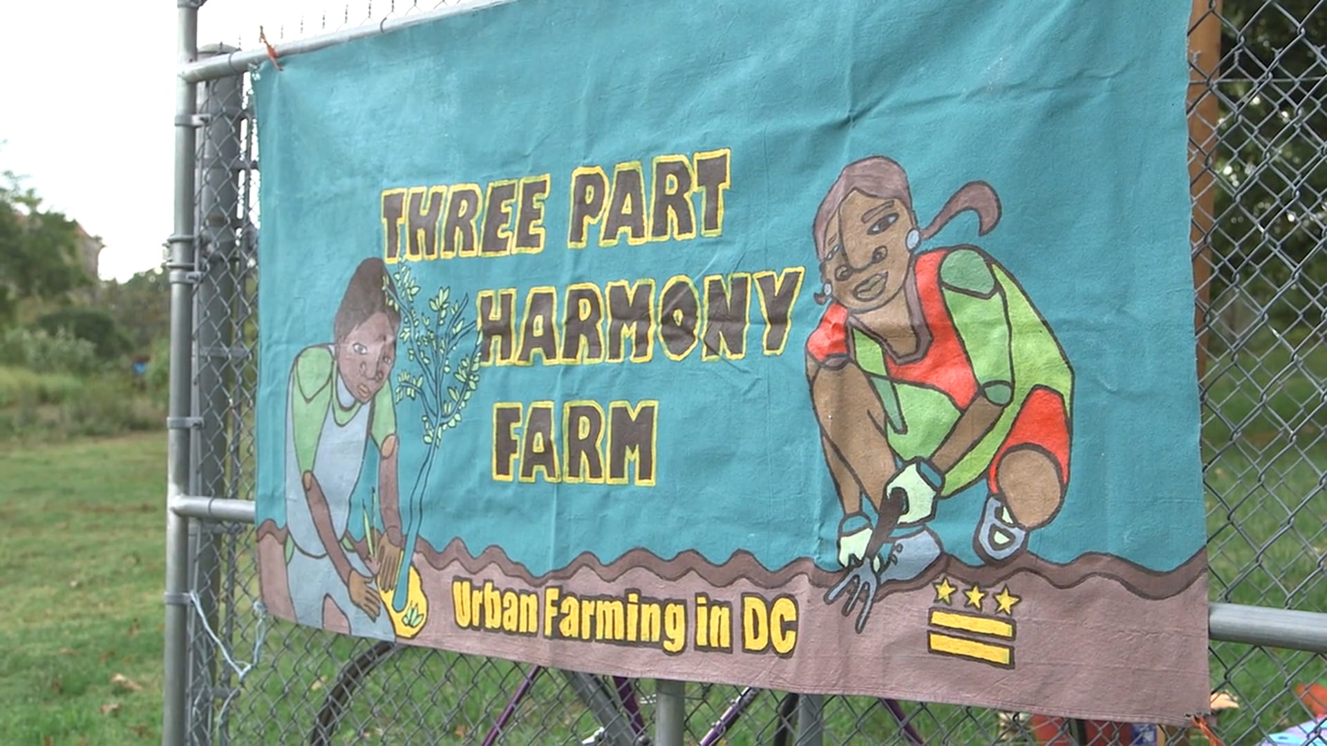 Three Part Harmony Farm - Rooted and Sustained by Community Since 2012