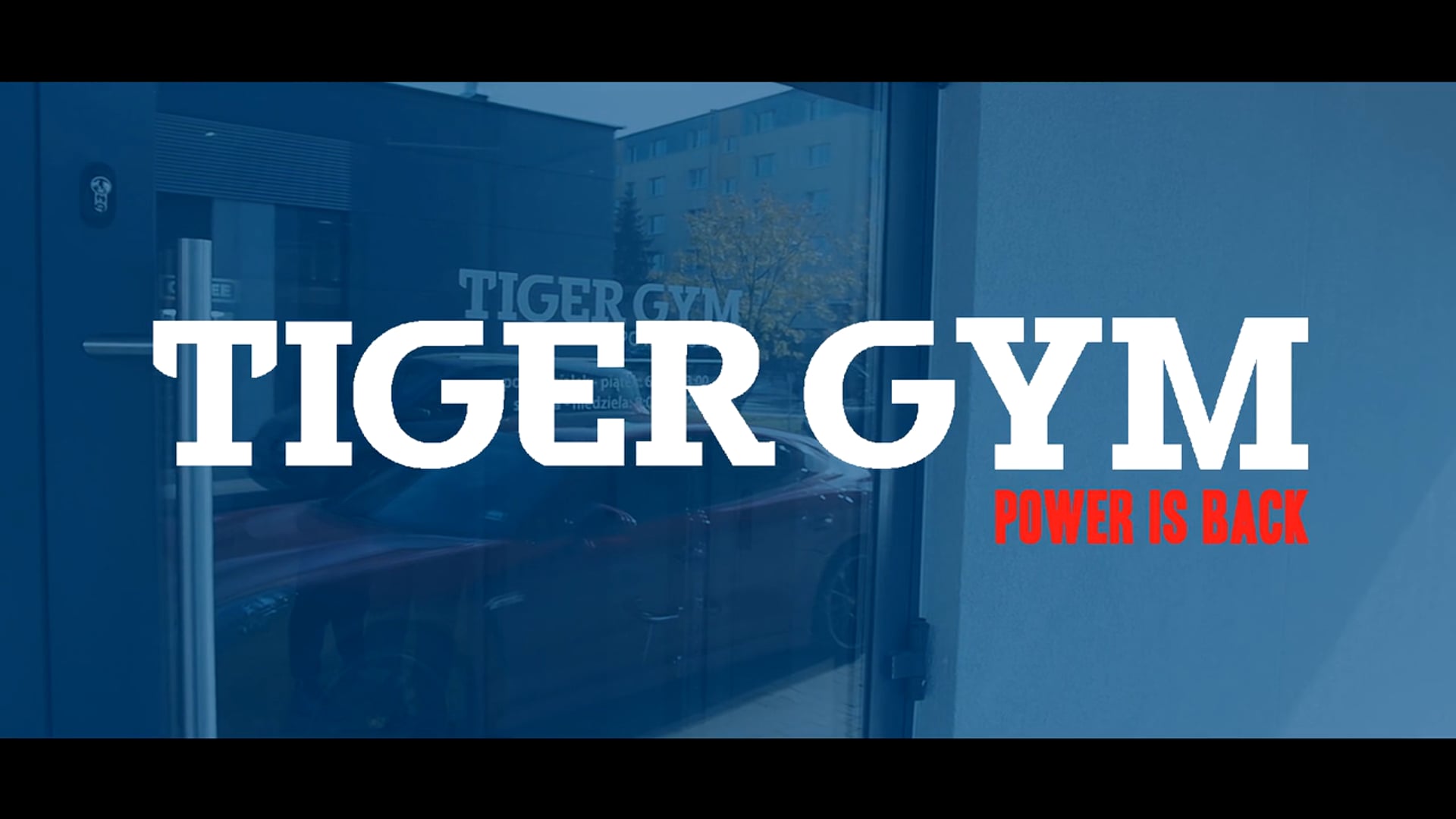 Tiger Gym Chełm Otwarcie