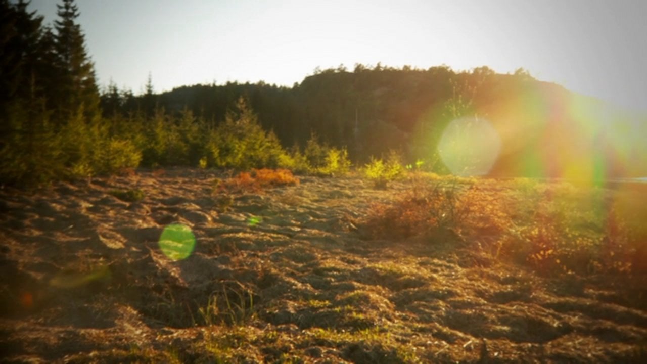 Spring sunset on Vimeo