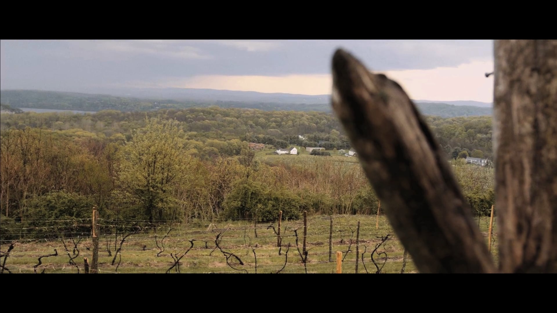 NARRATIVE FILMS