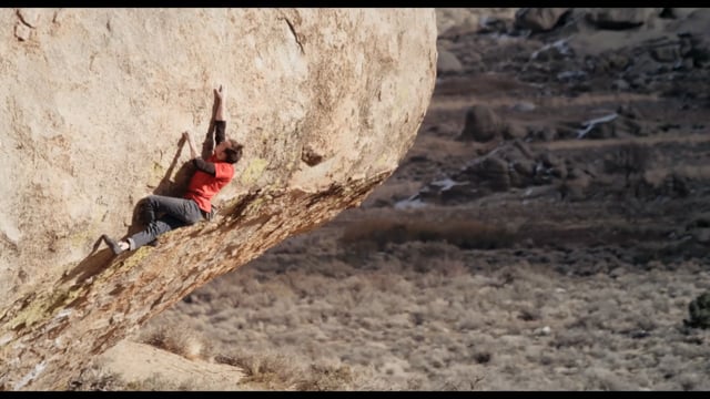 Evilution Direct V11 • Alex Biale from Alex Biale