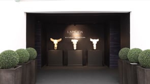 Lapicida - Customer Success Story