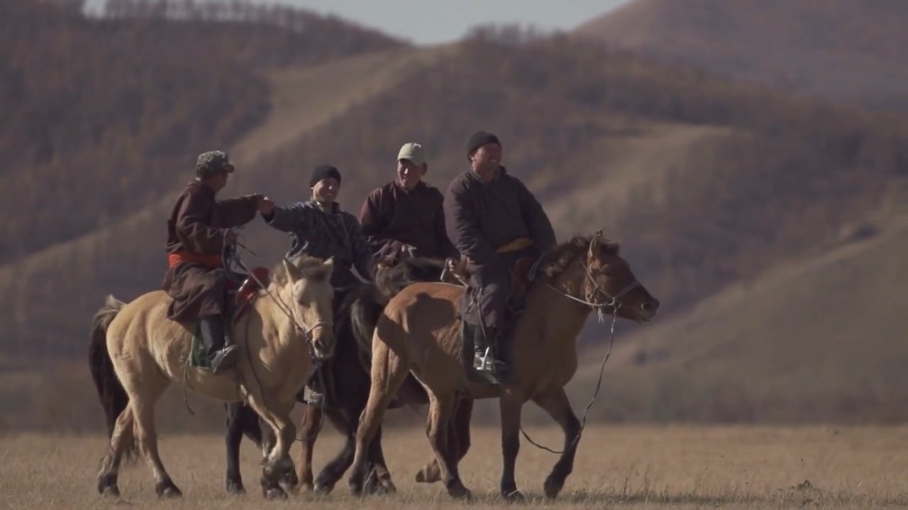 Bridge the Gap Trailer